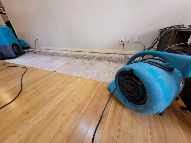 Professional Ceiling Water Damage Repair technician working in Greenfield, IL